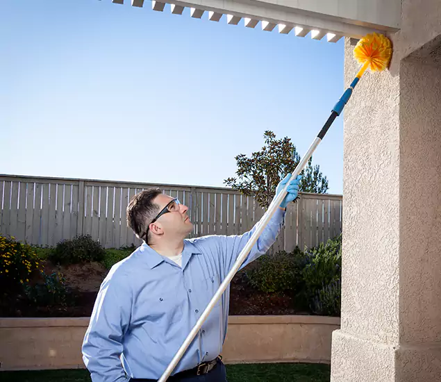 Your Trusted Wasp Removal Company in Salem, OR