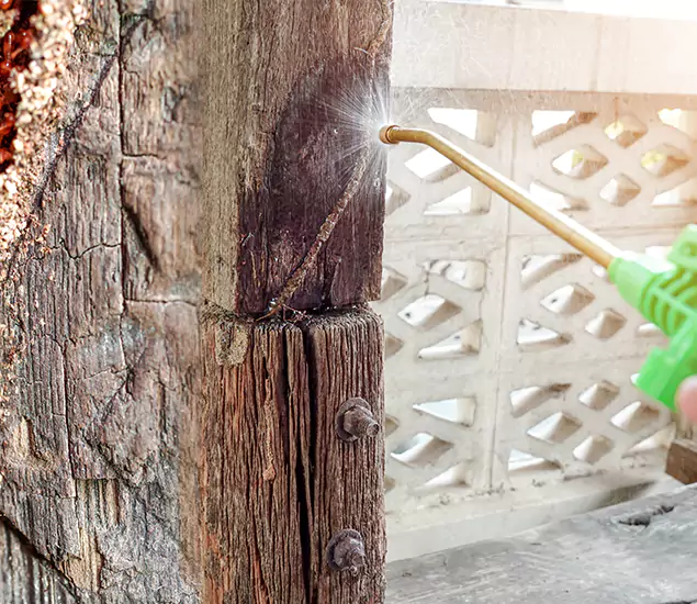 About Wood Termite Treatment Services in Salem, OR