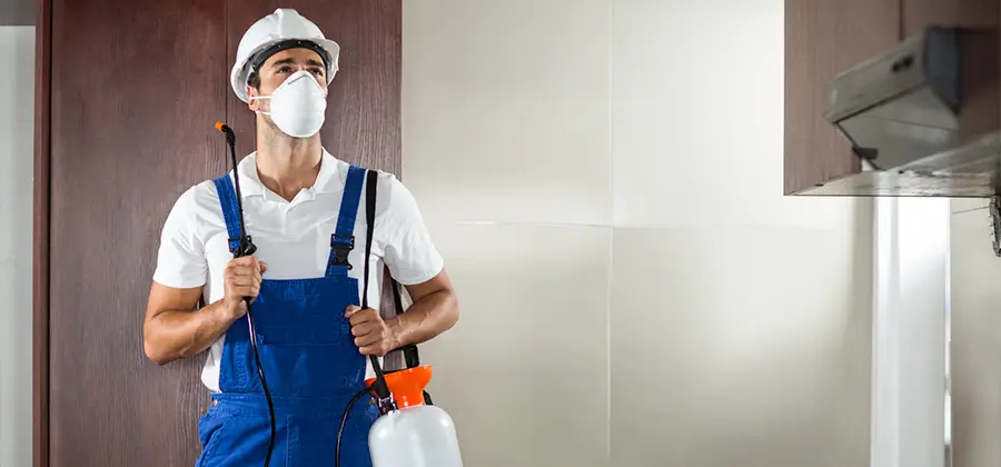 Per Room Bed Bug Cost in Salem