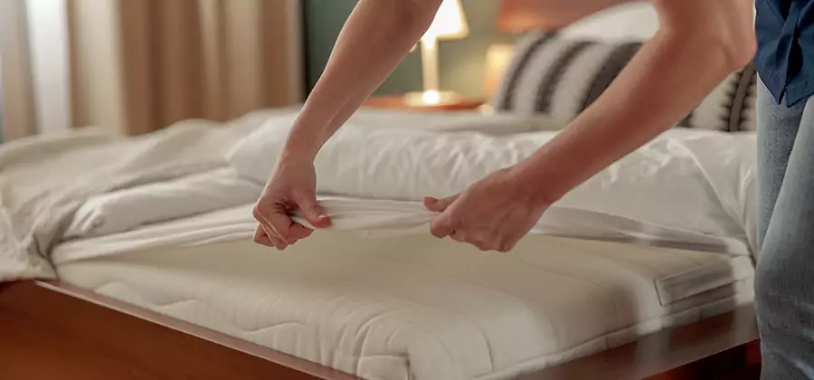 Bed Bug Extermination Services in Salem
