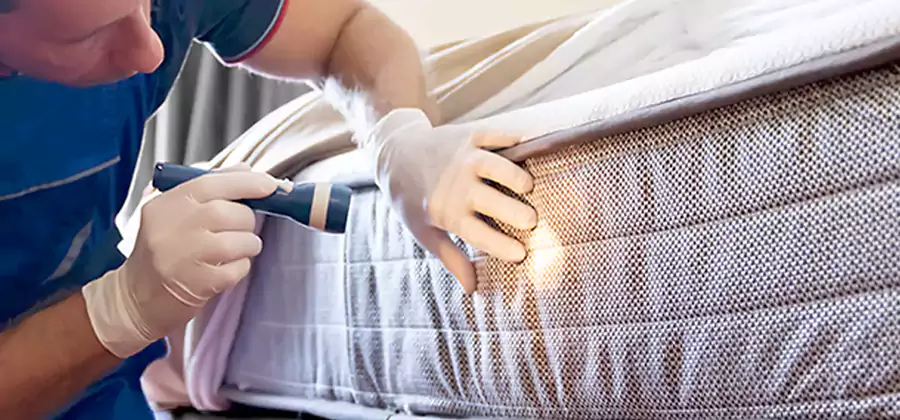 Residential Bed Bug Treatment Cost in Salem