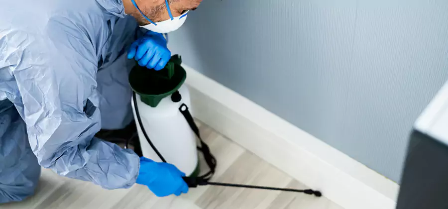 Fumigate Apartment Roaches in Salem