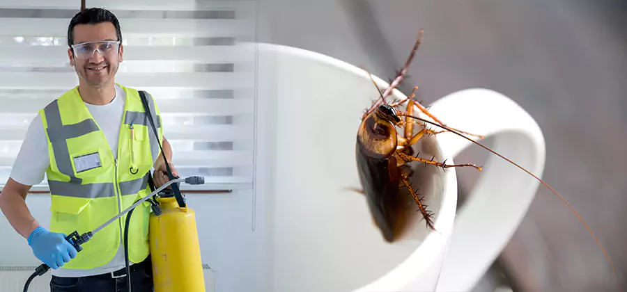 German Roach Infestation Treatment Salem