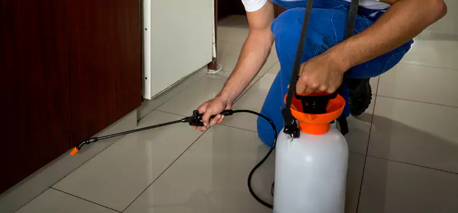 Indoor Mosquito Treatment in Salem