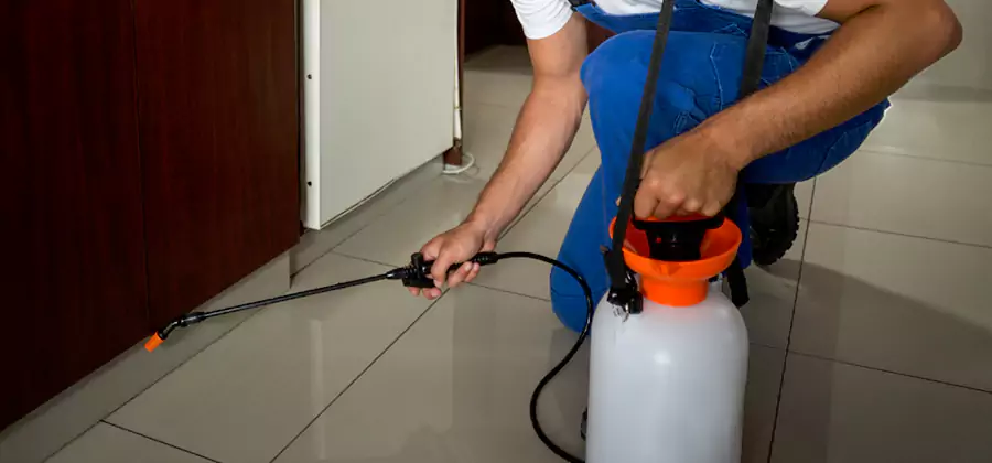 Indoor Insect Killer Solutions in Salem