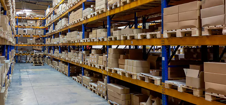 Warehouse Pest Control in Salem