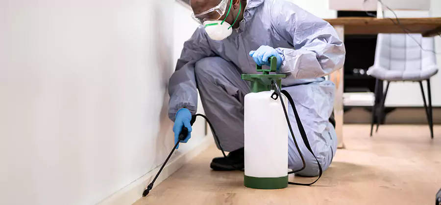 Long Lasting Mosquito Treatment in Salem