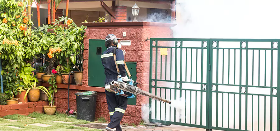 Backyard Mosquito Foggers Service in Salem