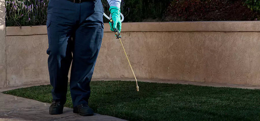 Soil Treatment for New Construction Termites in Salem