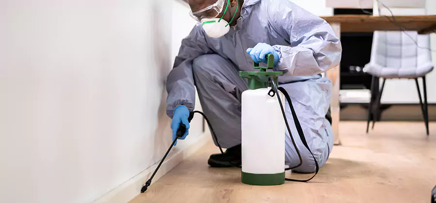 No Tent Termite Extermination With Electric Tool in Salem