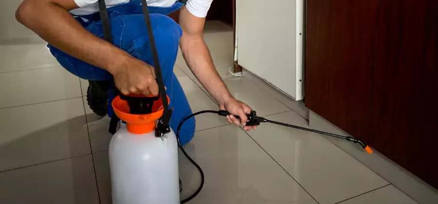 One Time Termite Control in Salem
