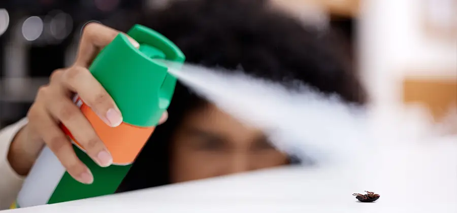 Child Safe Bed Bug Treatment in Salem