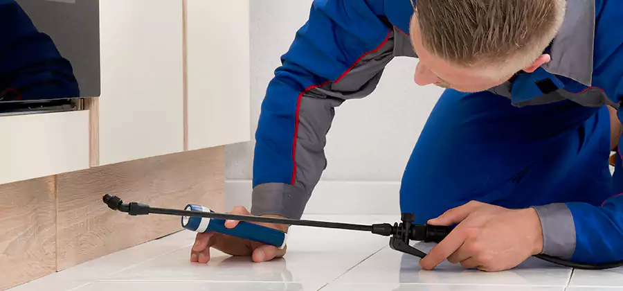 Moisture Treatment For Termite Control Service in Salem