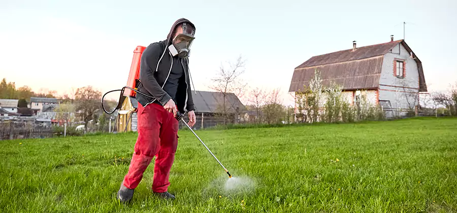 Flea and Tick Pest Control in Salem