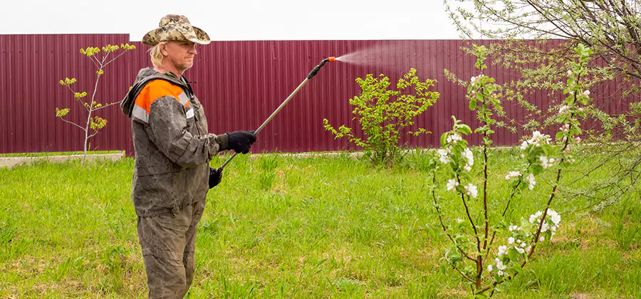 Flea and Tick Spray for Yard in Salem