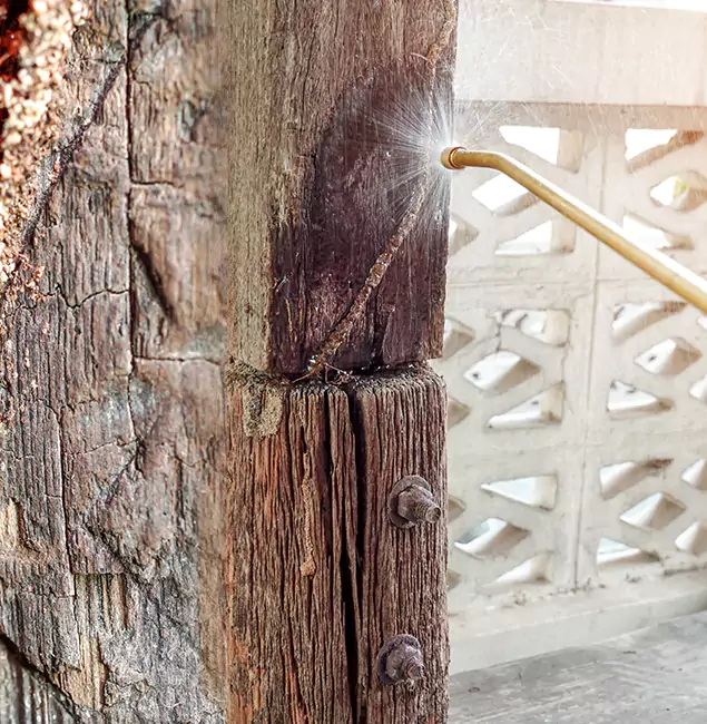 Why Choose Salem Pest Control Pros for Attic Termite Treatment in Salem, OR?