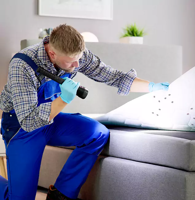 Why Choose Salem Pest Control Pros for Bed Bug Exterminator Cost in Salem, OR?