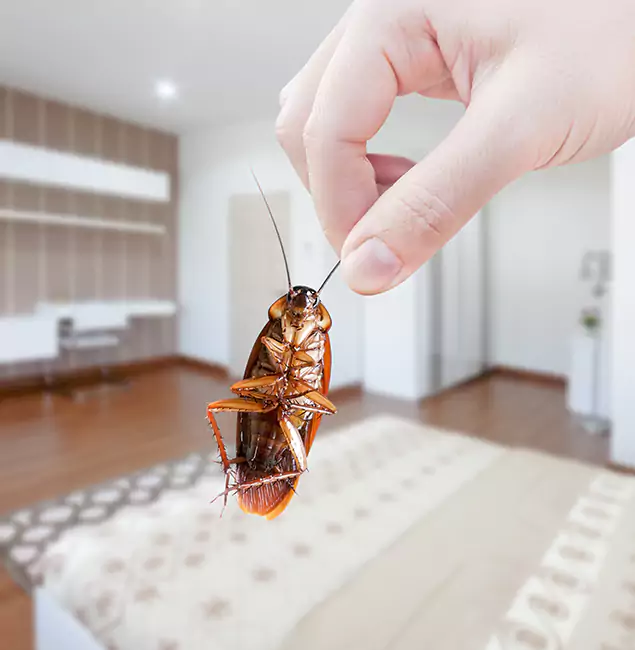 Why Salem Pest Control Pros Stand Out for Bed Bug Fumigation in Salem, OR?
