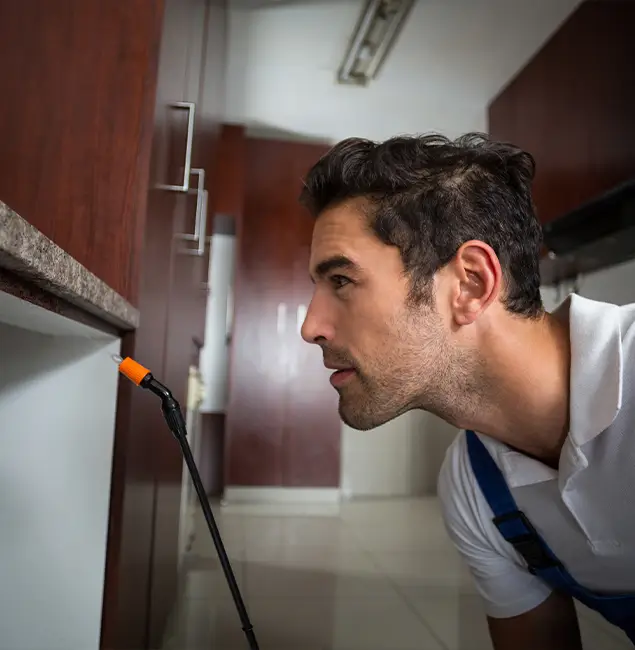 Why Choose Salem Pest Control Pros for Bed Bug Removal Cost in Salem, OR?