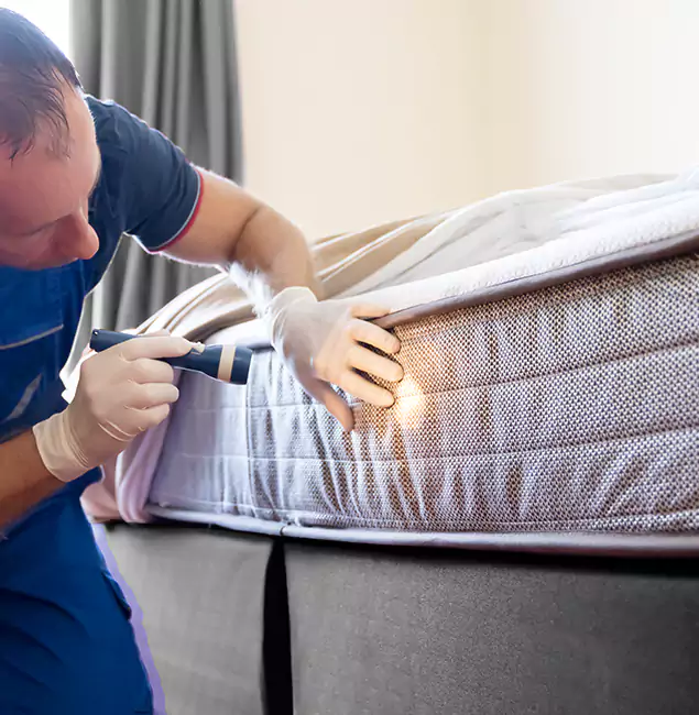 Why Choose Salem Pest Control Pros for Bed Bug Services in Salem, OR?