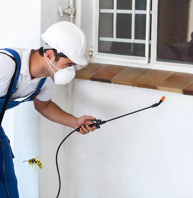 Why Salem Property Owners Choose Salem Pest Control Pros for Bee Nest Removal?
