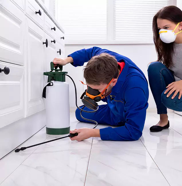 Why Choose Salem Pest Control Pros in Salem, OR?