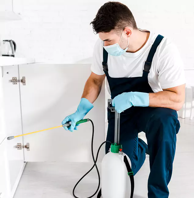 Why Choose Salem Pest Control Pros for Emergency Pest Control in Salem?