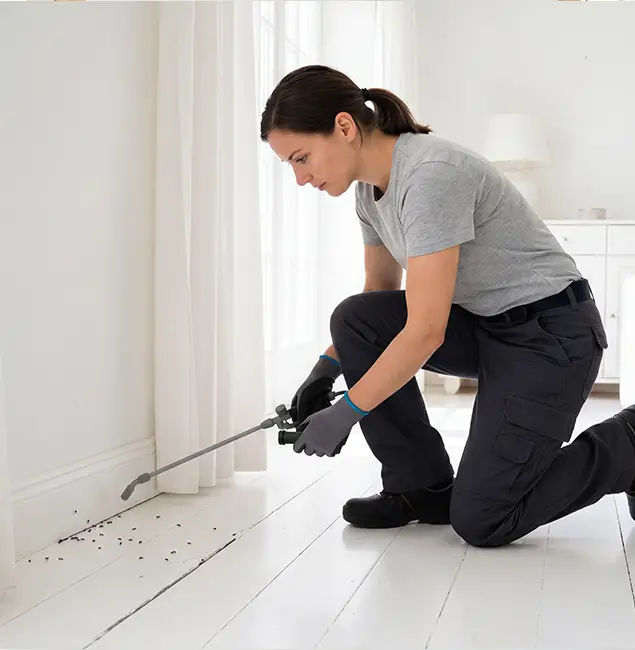 Why Salem, OR Property Owners Trust Salem Pest Control Pros for Fire Ant Control?