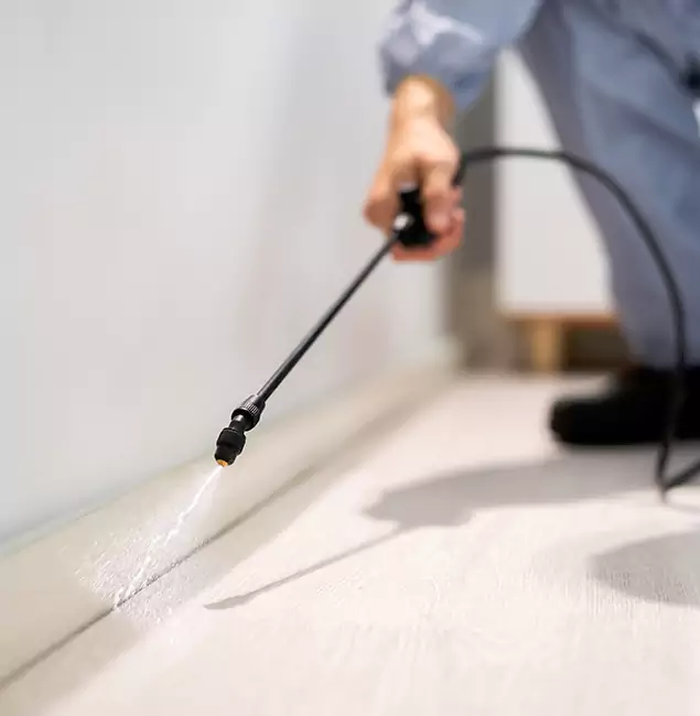 Why Choose Salem Pest Control Pros for Termite Treatment in Salem, OR?