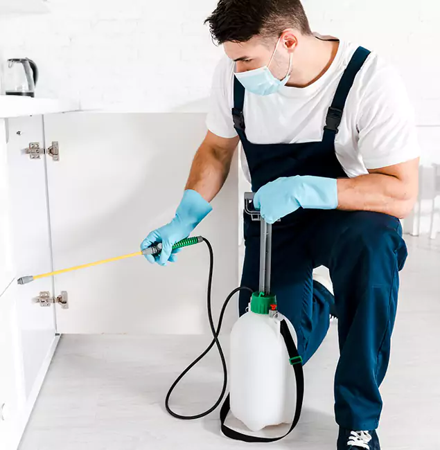 Why Salem, OR Homeowners Trust Us for German Roach Control?