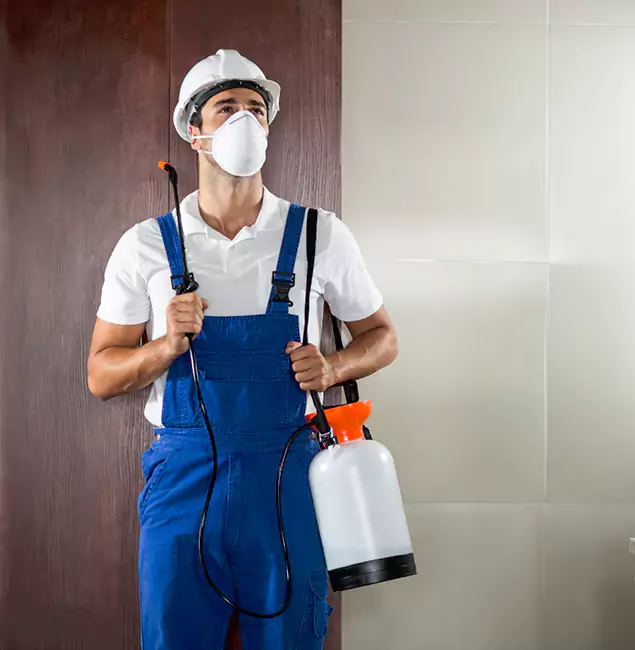 Why Choose Us for Heat Treatment for Termites in Salem, OR?