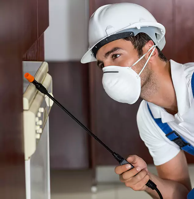 Why Salem Homeowners Rely on Salem Pest Control Pros for Tick Treatment?