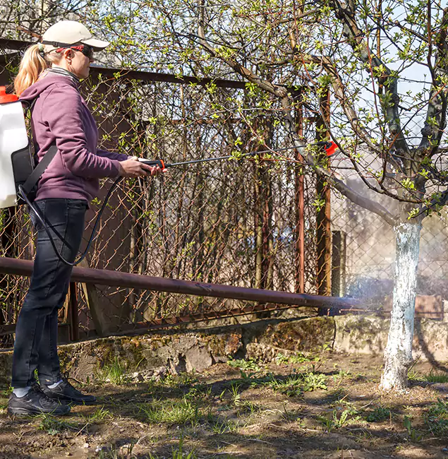 Why Salem Homeowners Choose Salem Pest Control Pros for Mosquito Abatement?
