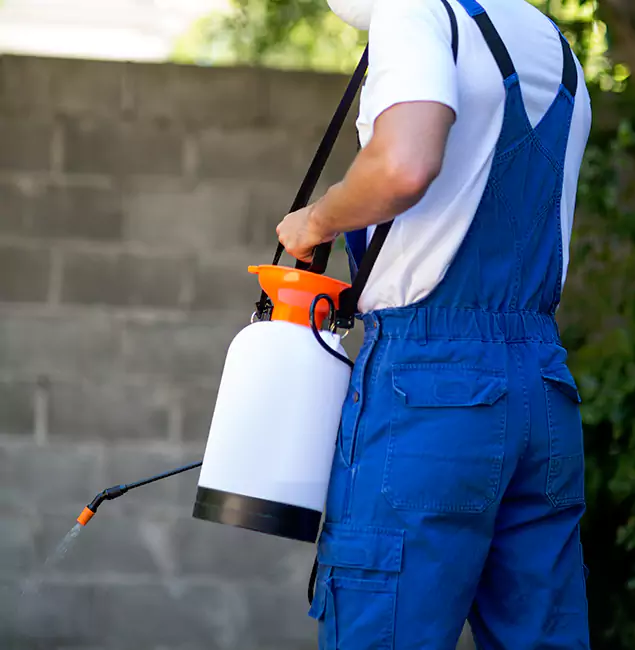 Why Salem Homeowners Rely on Salem Pest Control Pros for Mosquito Control?