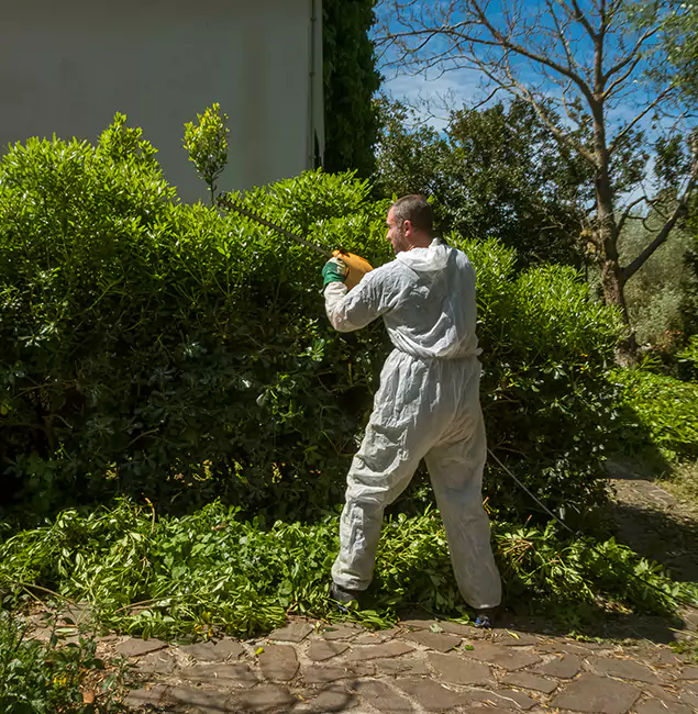 Why Salem Pest Control Pros Leads Mosquito Control in Salem, OR?