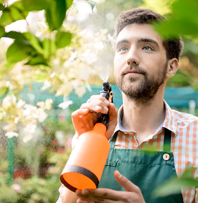 Why Salem Pest Control Pros Is the Best Mosquito Control Company in Salem, OR?
