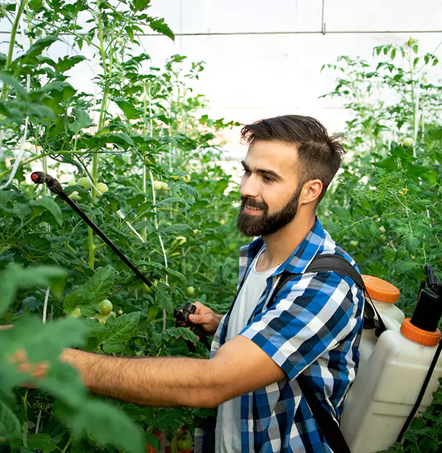 Why Salem Homeowners Choose Salem Pest Control Pros for Mosquito Spraying?