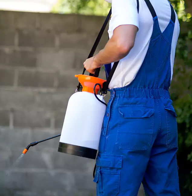 Why Salem Pest Control Pros Delivers the Best Mosquito Control in Salem, OR?