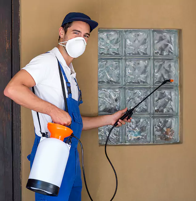 Why Salem Pest Control Pros Provides the Best Mosquito Control for Yard Properties in Salem, OR?