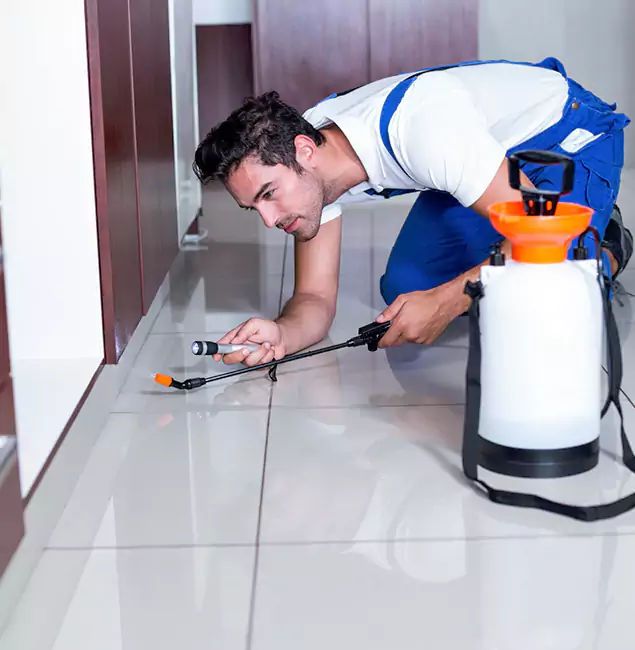 Why Salem Pest Control Pros Is the Proven Choice in Salem, OR?