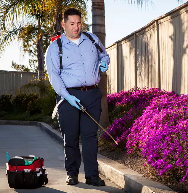 Why Choose Salem Pest Control Pros in Salem, OR?