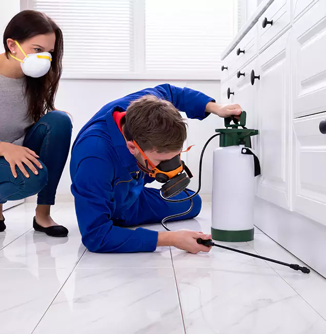 Why Choose Salem Pest Control Pros in Salem, OR?