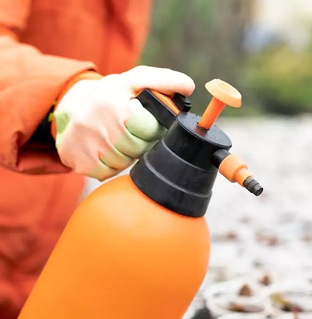 Why Choose Salem Pest Control Pros for Orange Termite Treatment in Salem, OR?