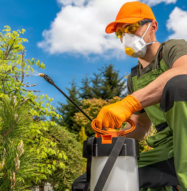 Why Choose Salem Pest Control Pros for Outdoor Pest Control in Salem, OR?