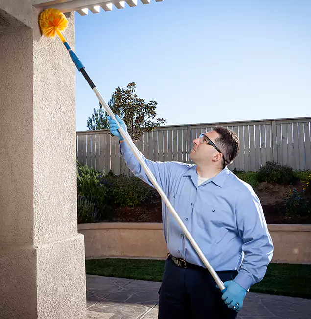 Why Choose Salem Pest Control Pros for Pest Control Services in Salem, OR?