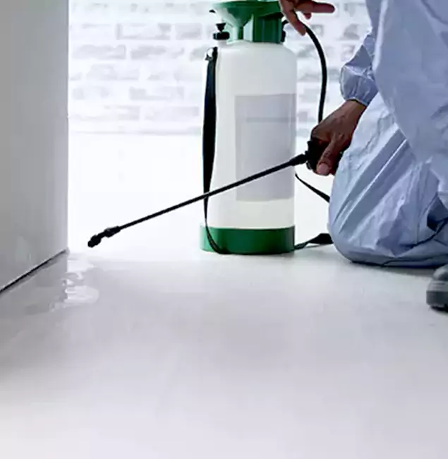 Why Choose Salem Pest Control Pros for Rat Exterminator in Salem, OR?