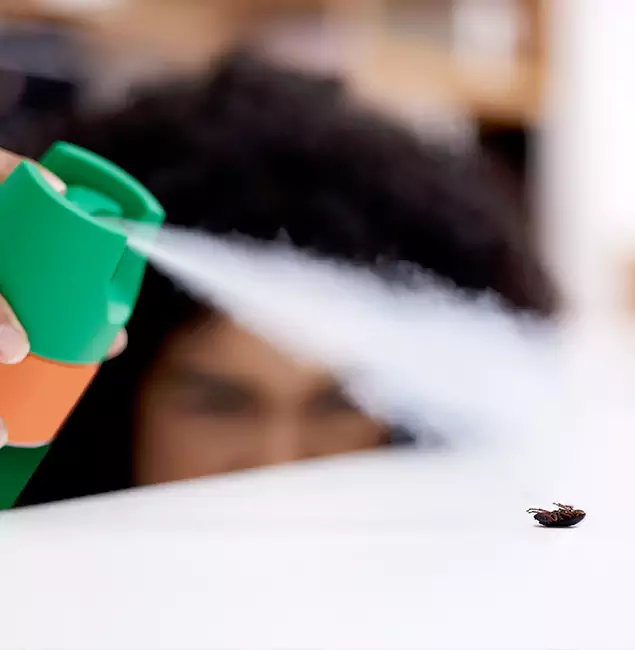 Why Salem, OR Homeowners Choose Salem Pest Control Pros for Roach Pest Control?