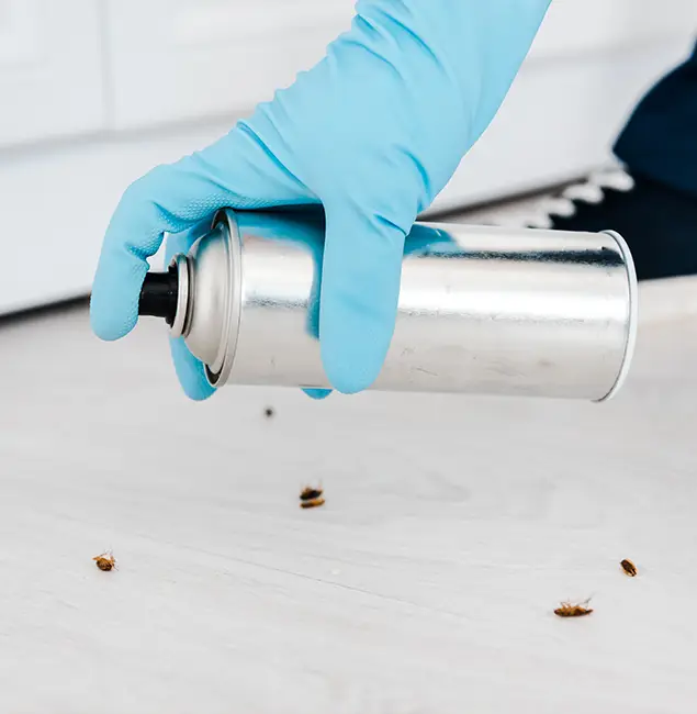 Why Choose Salem Pest Control Pros for Safe Bed Bug Treatment in Salem, OR?