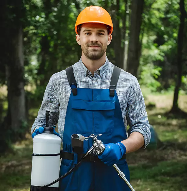 Why Choose Salem Pest Control Pros for Little Black Ant Control in Salem, OR?