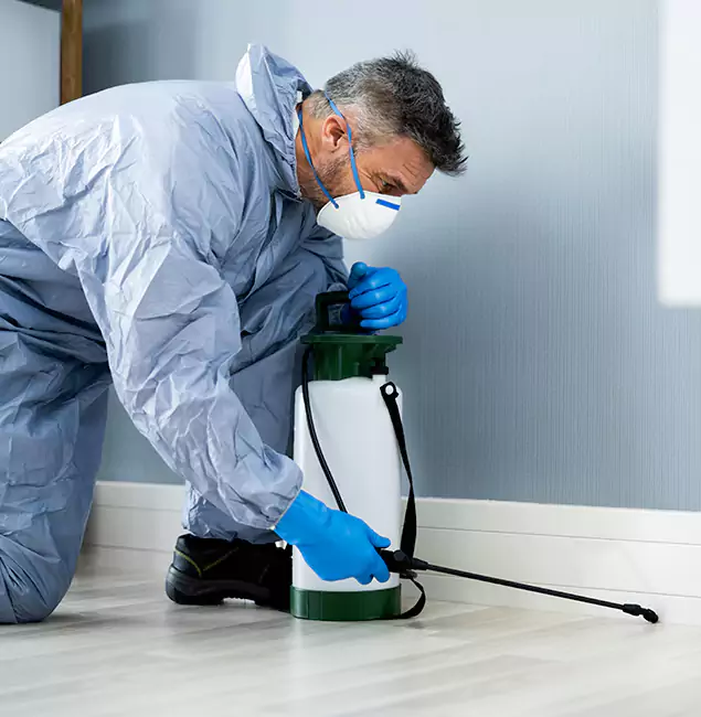 Why Choose Salem Pest Control Pros for Subterranean Termites Treatment in Salem, OR?